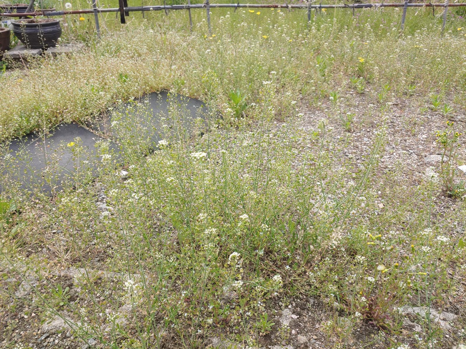 20260423_122004.jpg