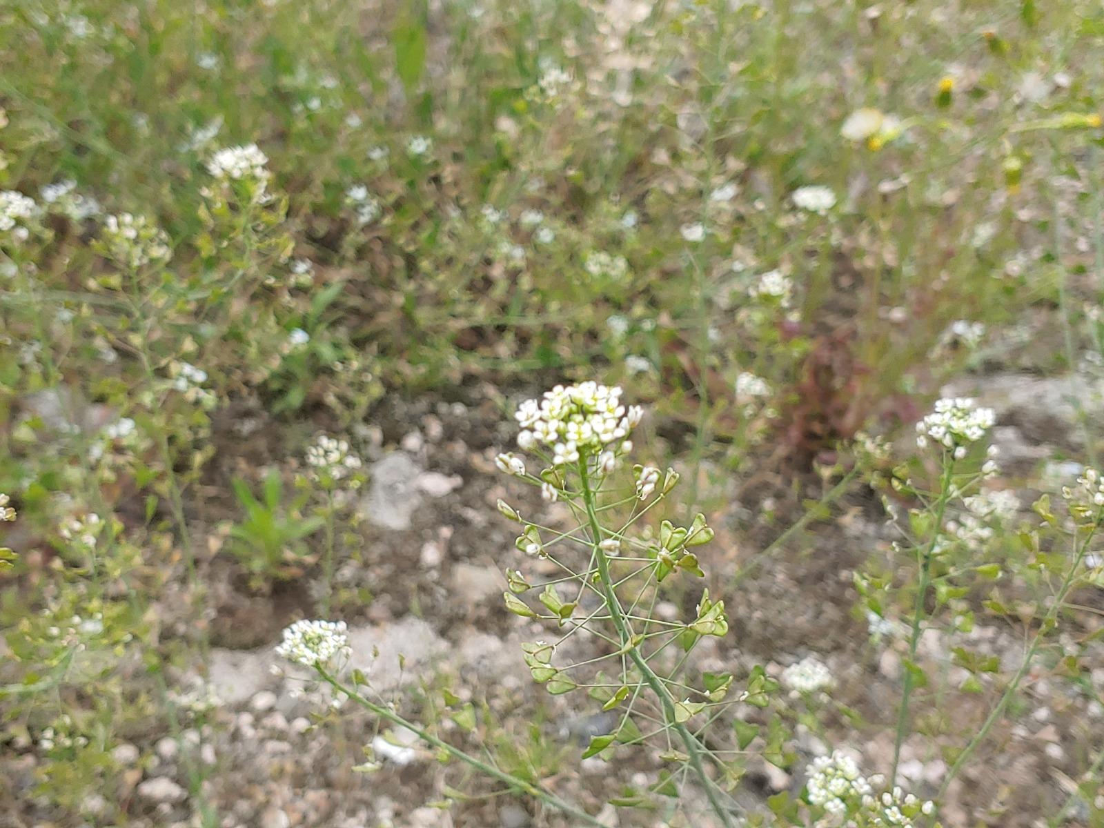20260423_121930.jpg