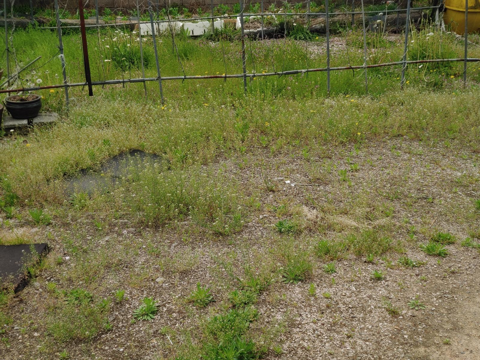 20260423_121837.jpg