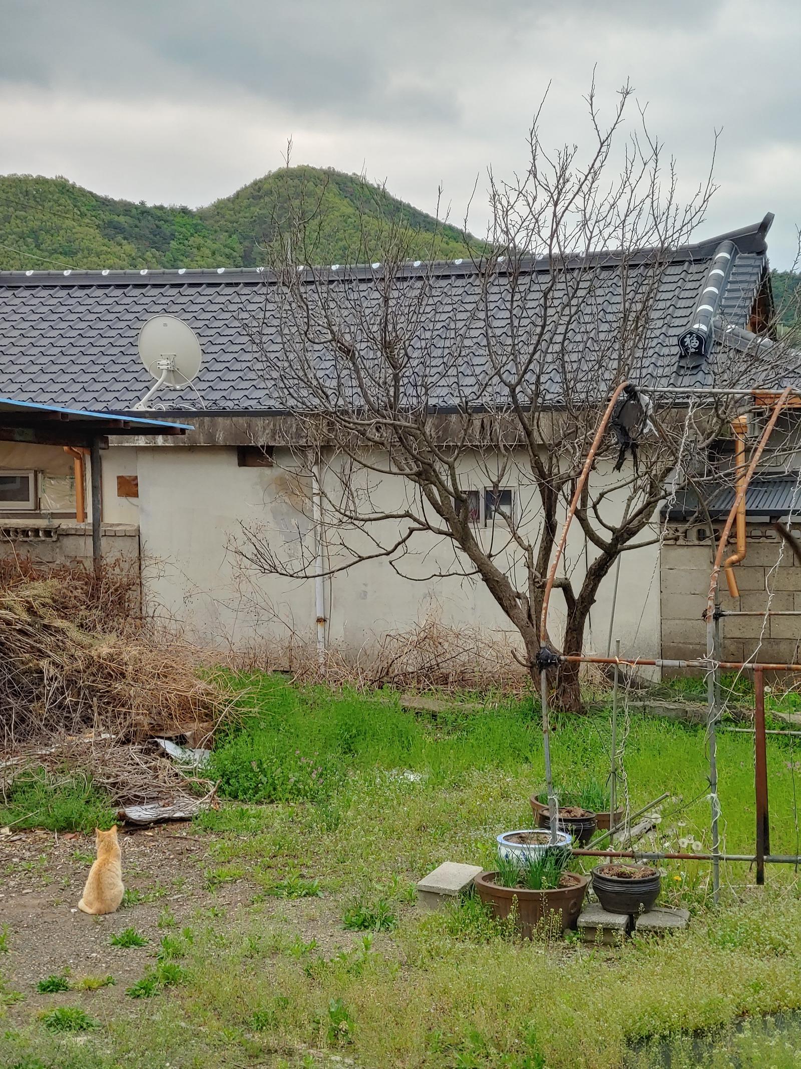 20260420_172400_HDR.jpg