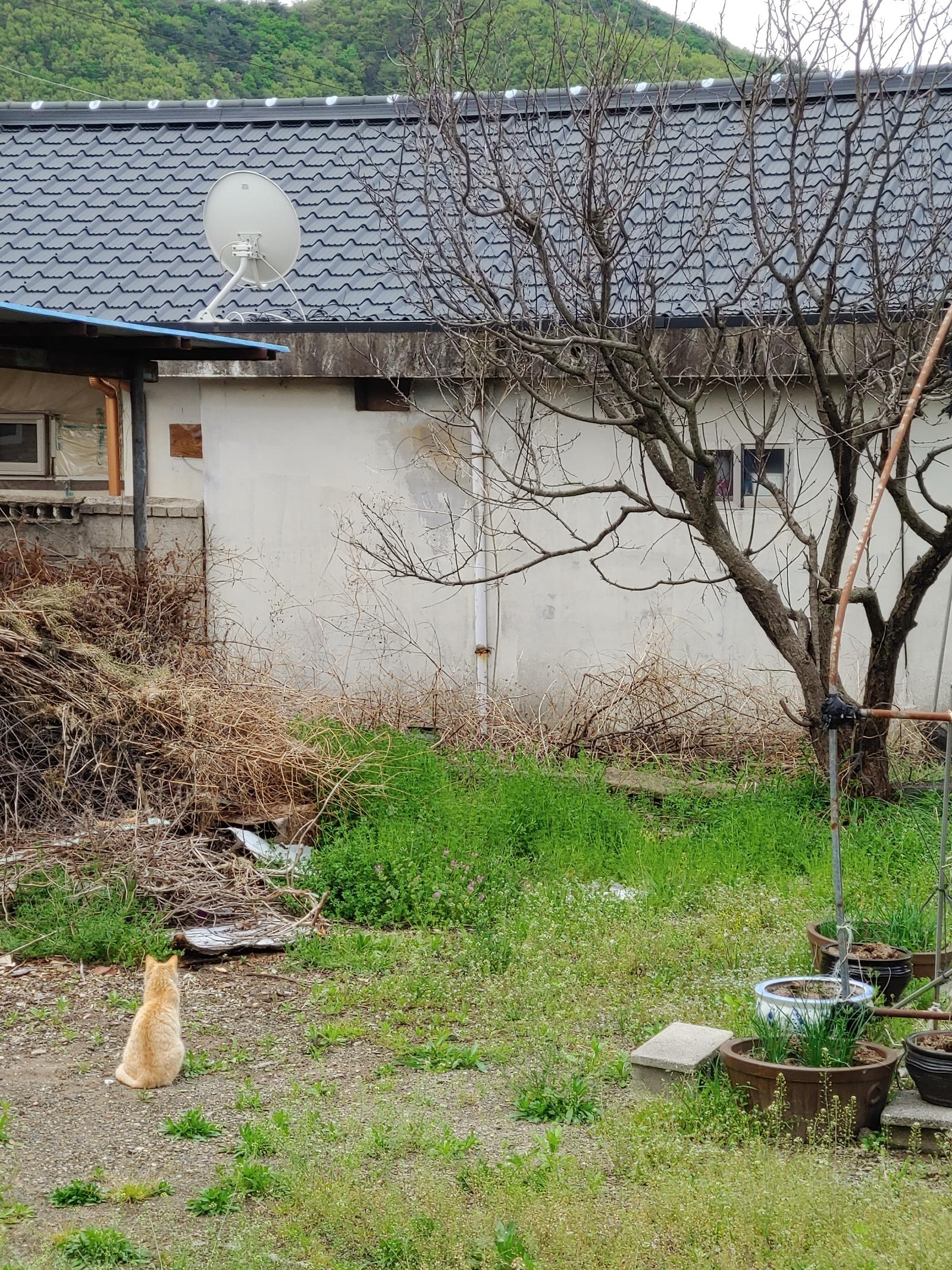 20260420_172351.jpg