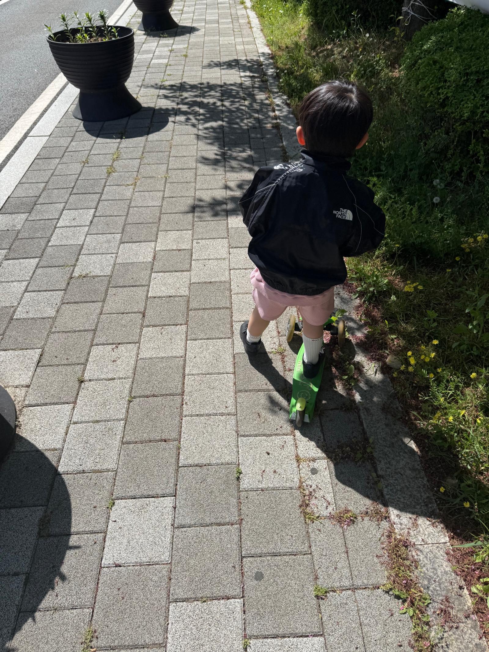 IMG_7425.jpeg