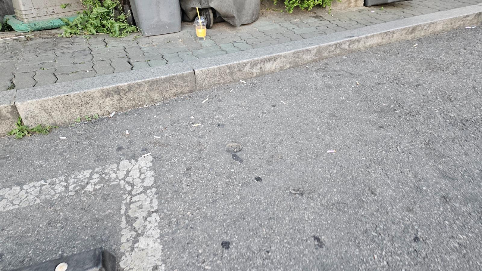 KakaoTalk_20260425_074440551_10.jpg