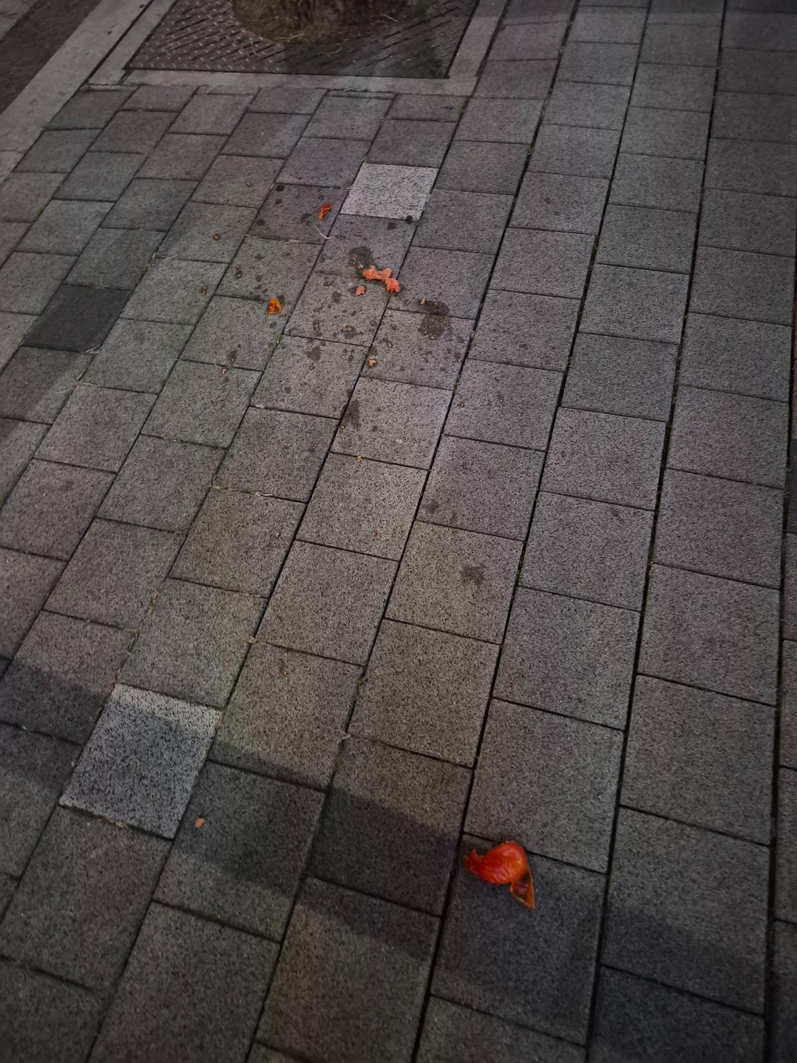 KakaoTalk_20260420_201730106_01.jpg