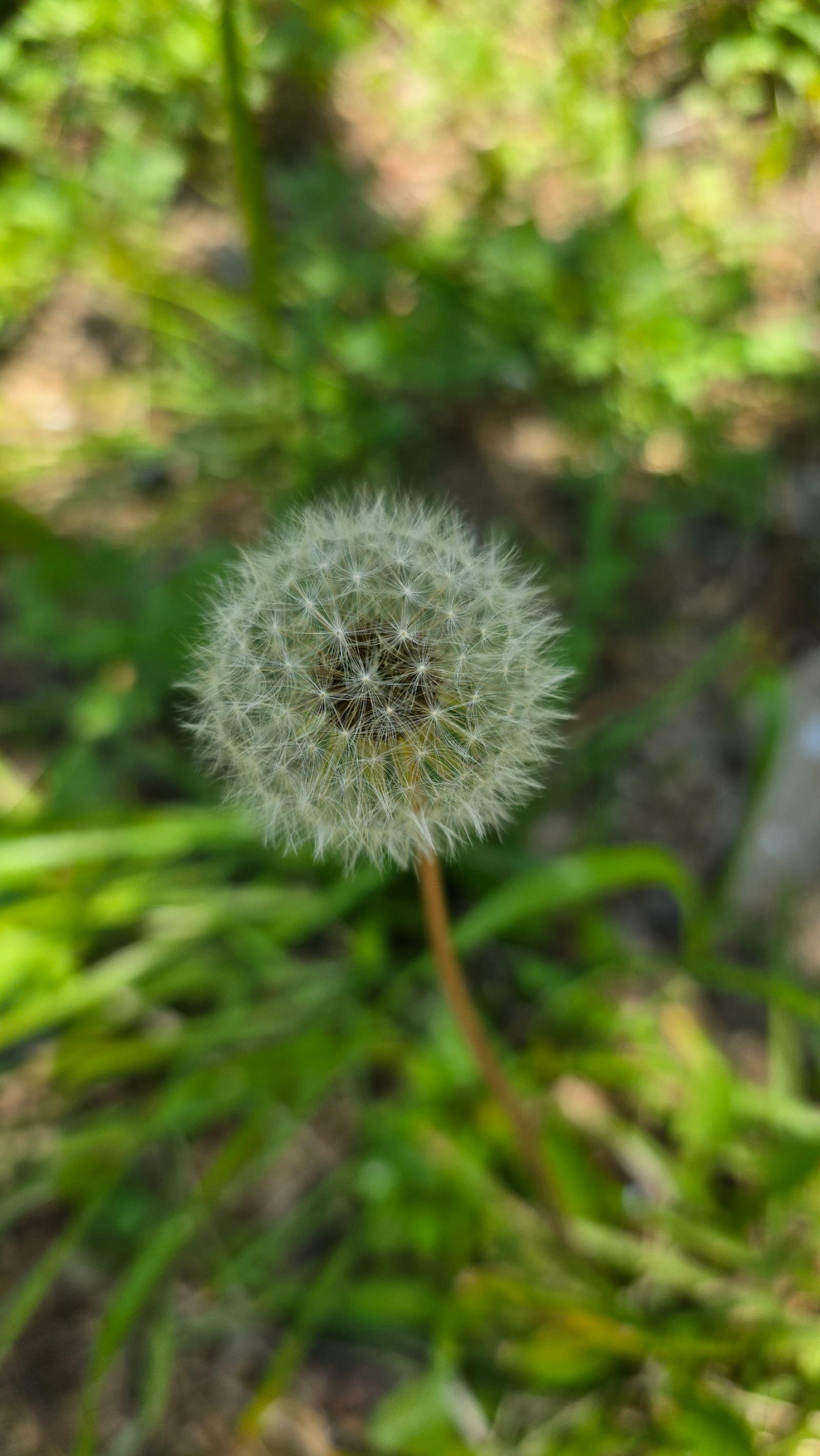 20260425_112330.jpg