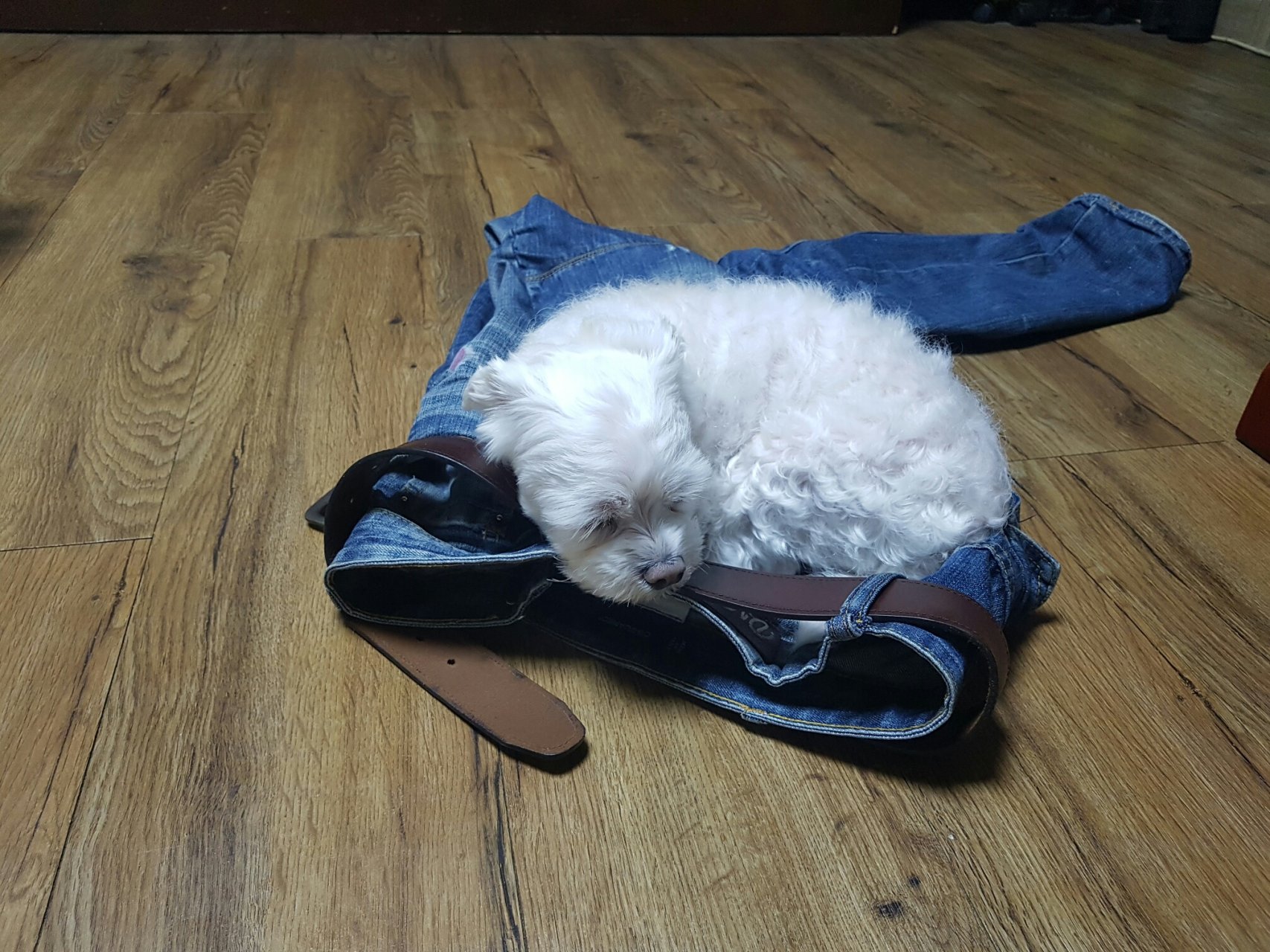 카카오스토리_2022_02_03 18_01_47.jpg