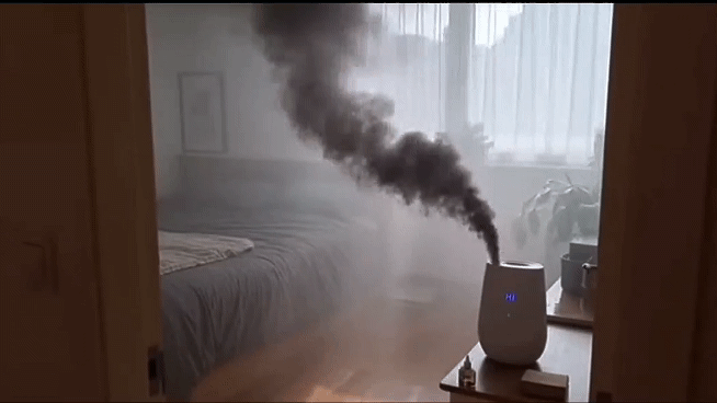 InShot_20260425_145300187_1.gif