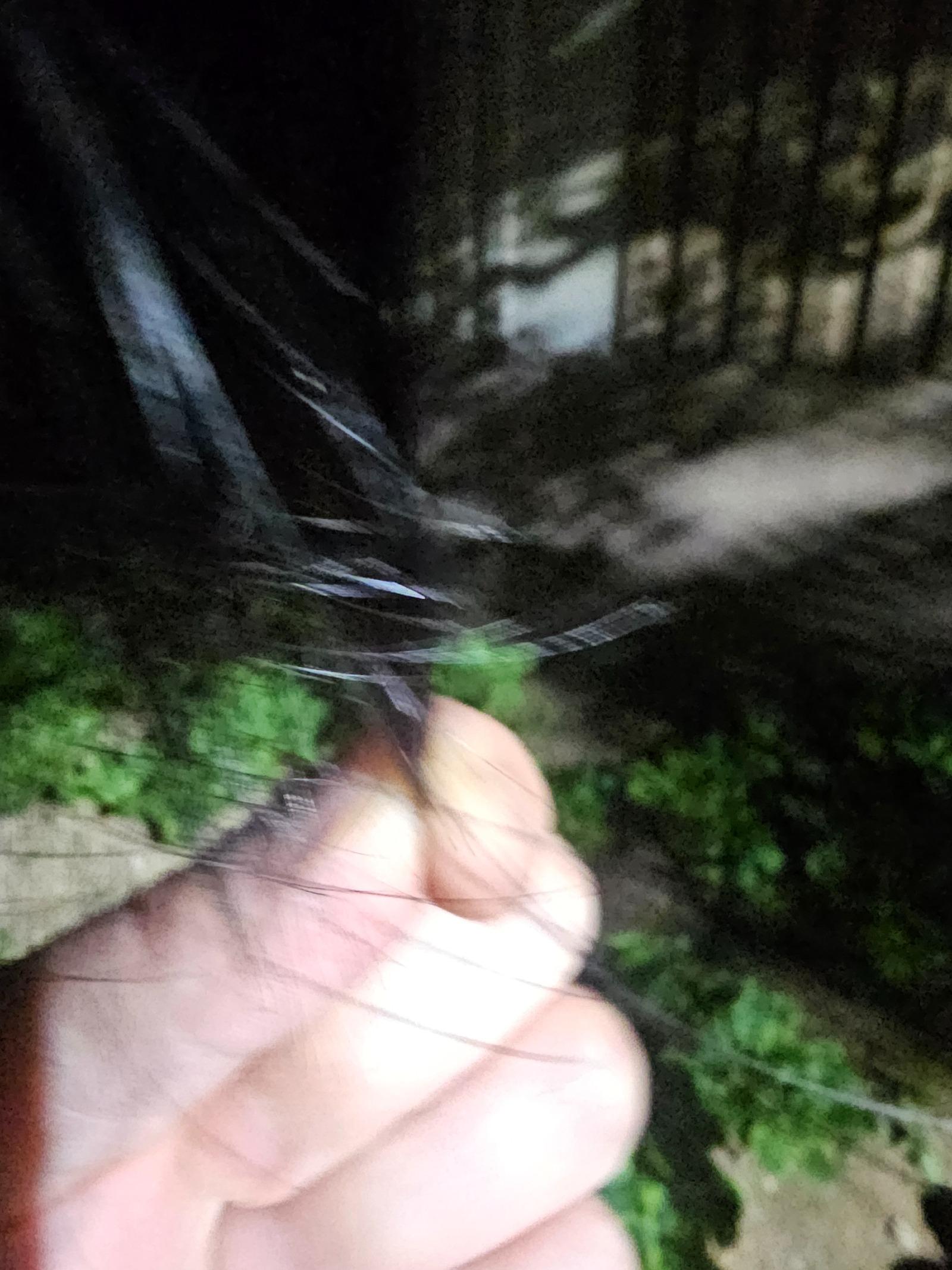 20260425_210643.jpg