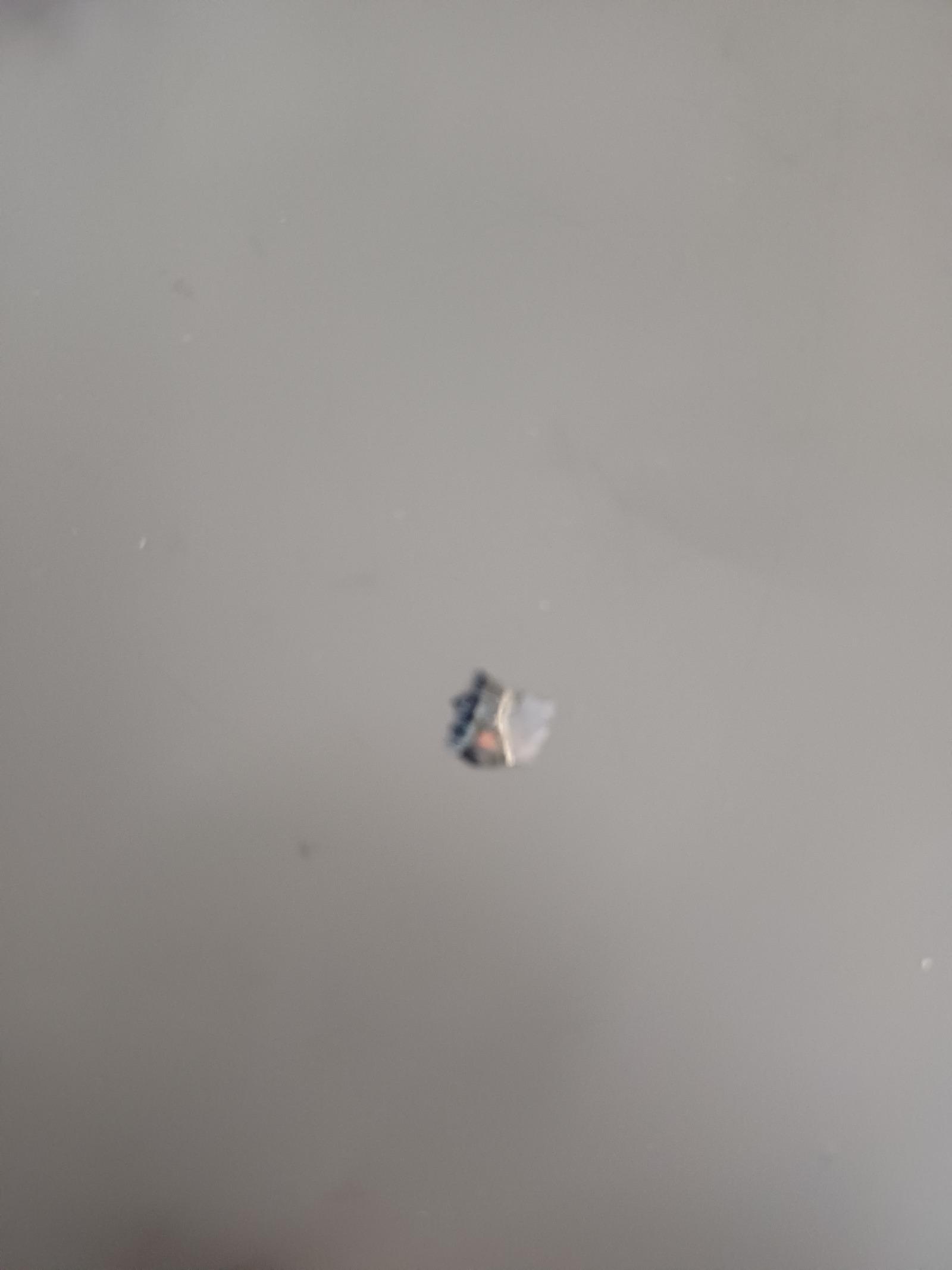 1777166001289.jpg