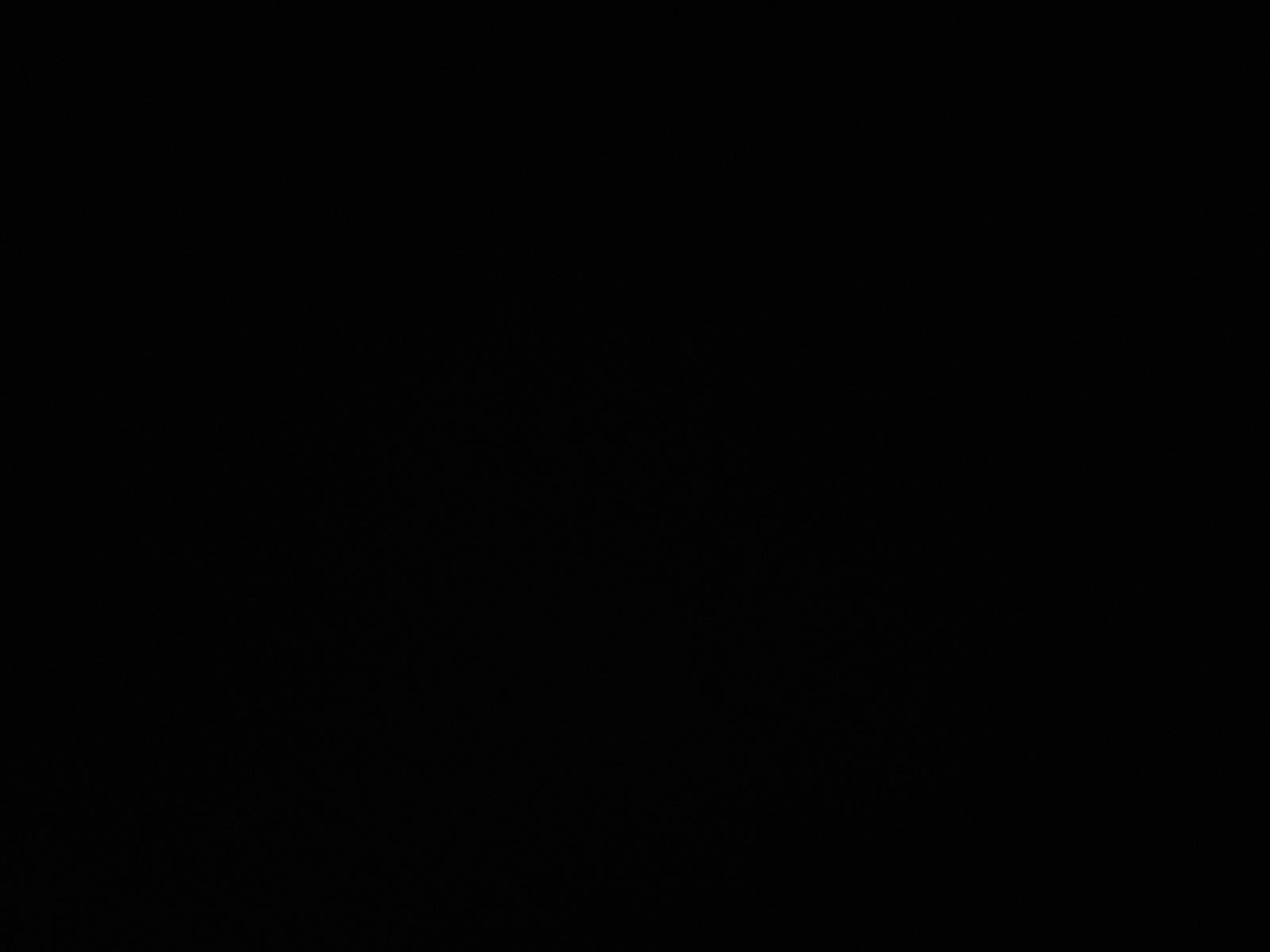 1000016371.jpg