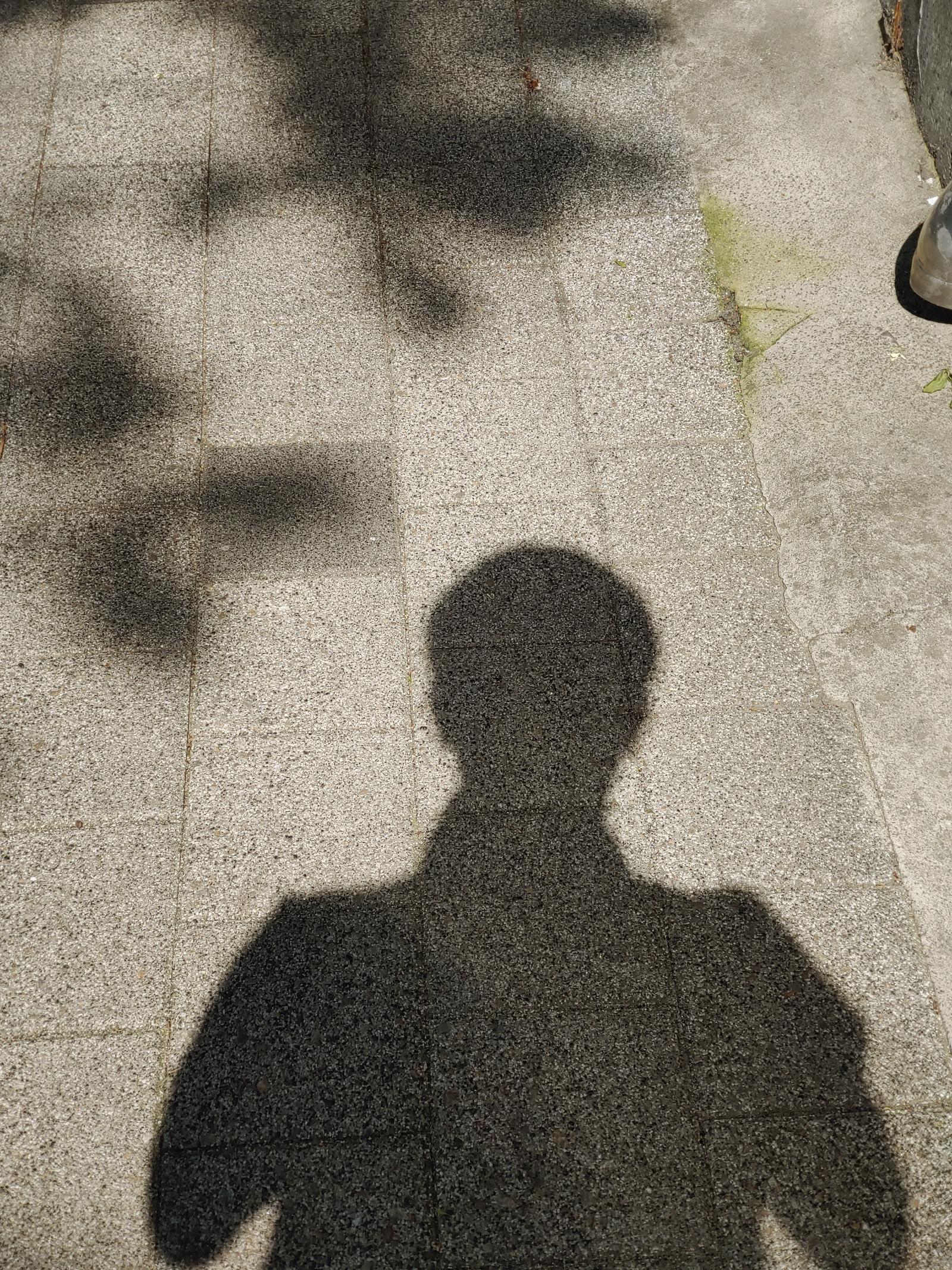 20260426_145603.jpg