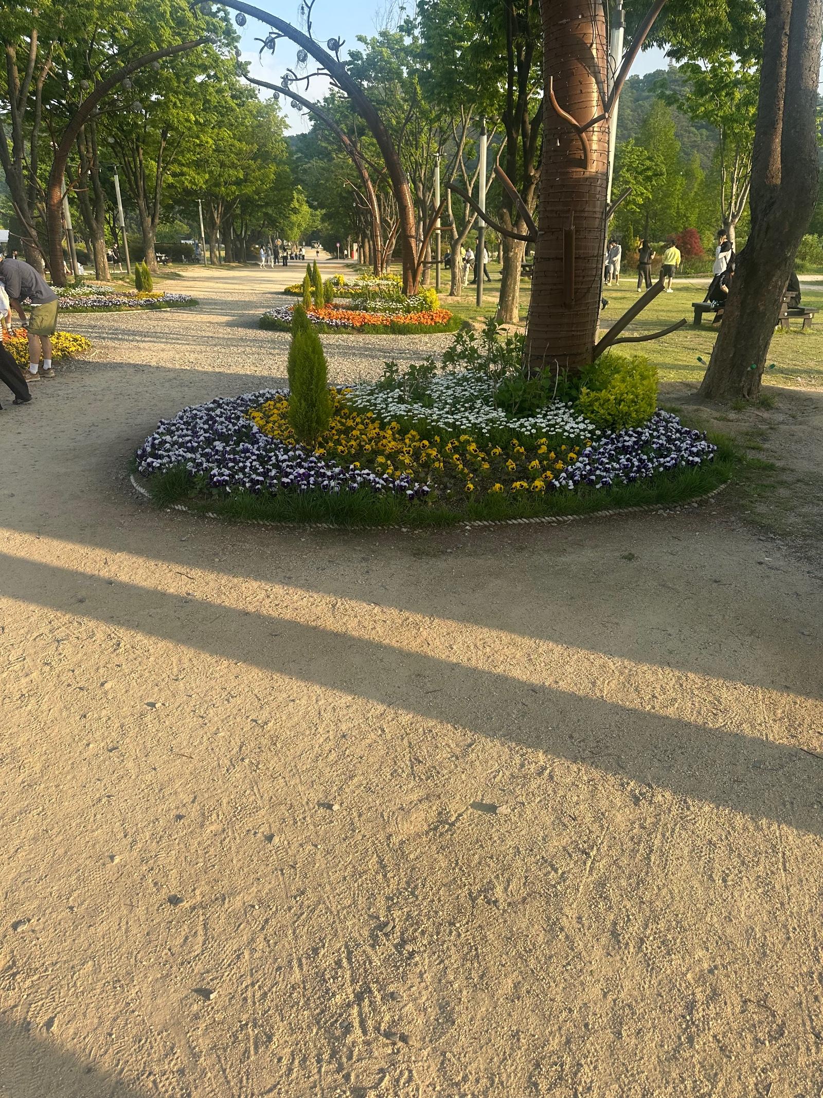 IMG_4554.jpeg