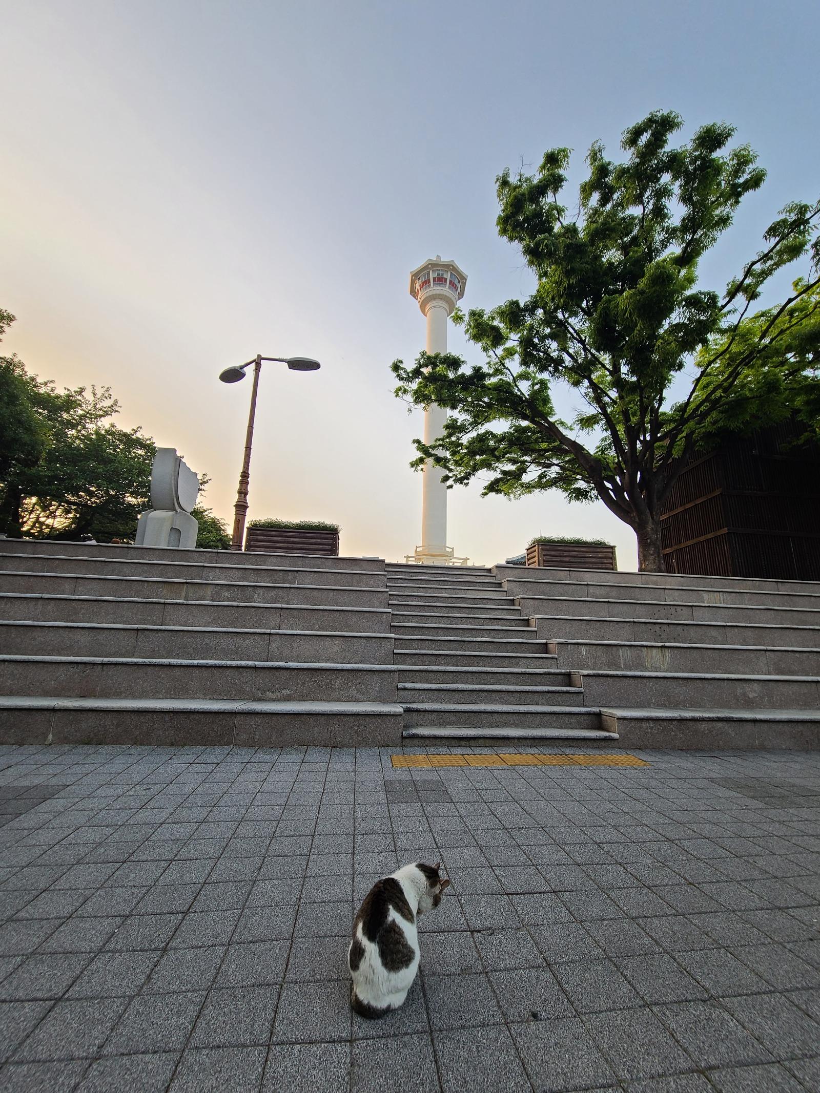 20260426_184241.jpg
