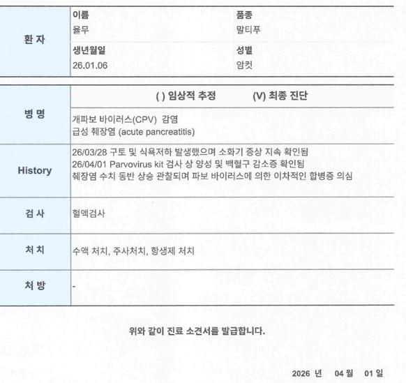진단서사진.jpg