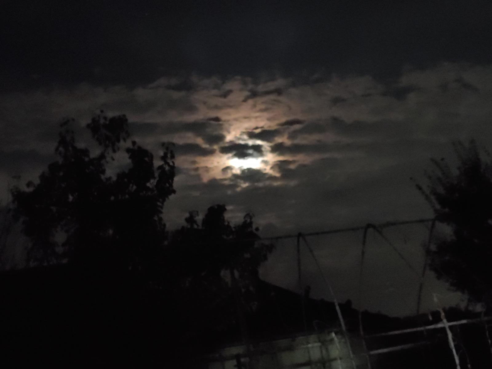 20250902_222045.jpg