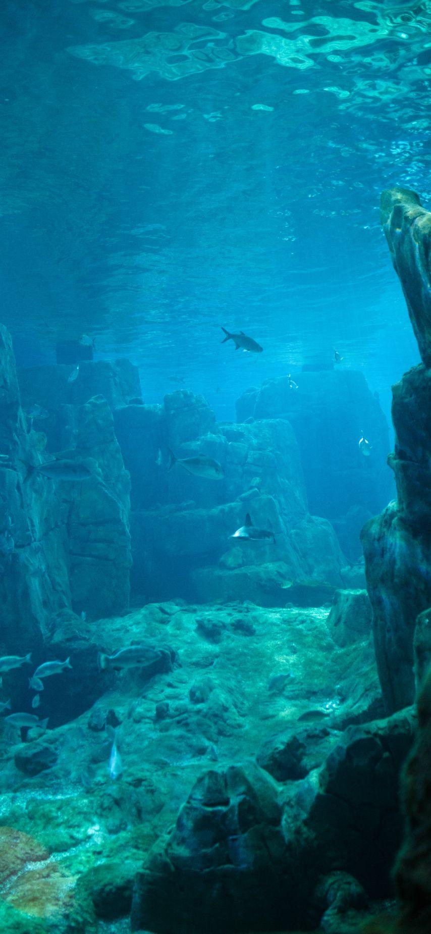3697151264_kuHlavFn_AYEIxR32UqLt5PTC.jpg