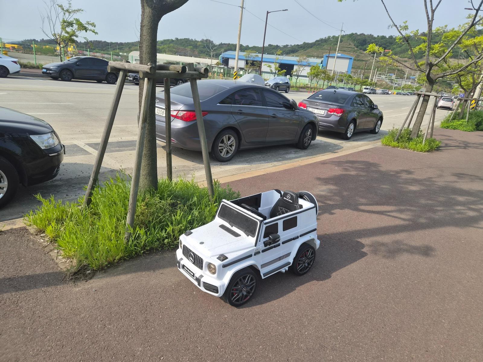 37245.jpg