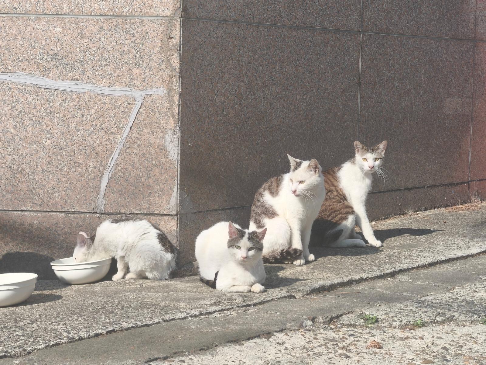1000053905.jpg