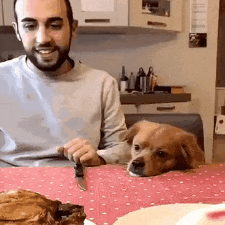 GAYP1617073103_1987117539.gif
