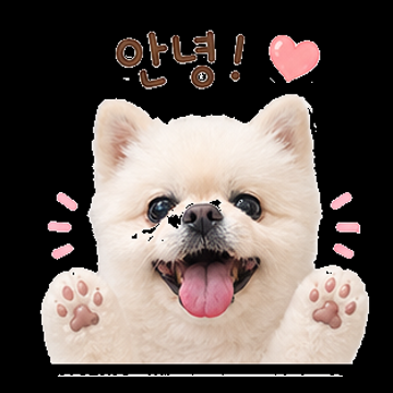 1000020373.png