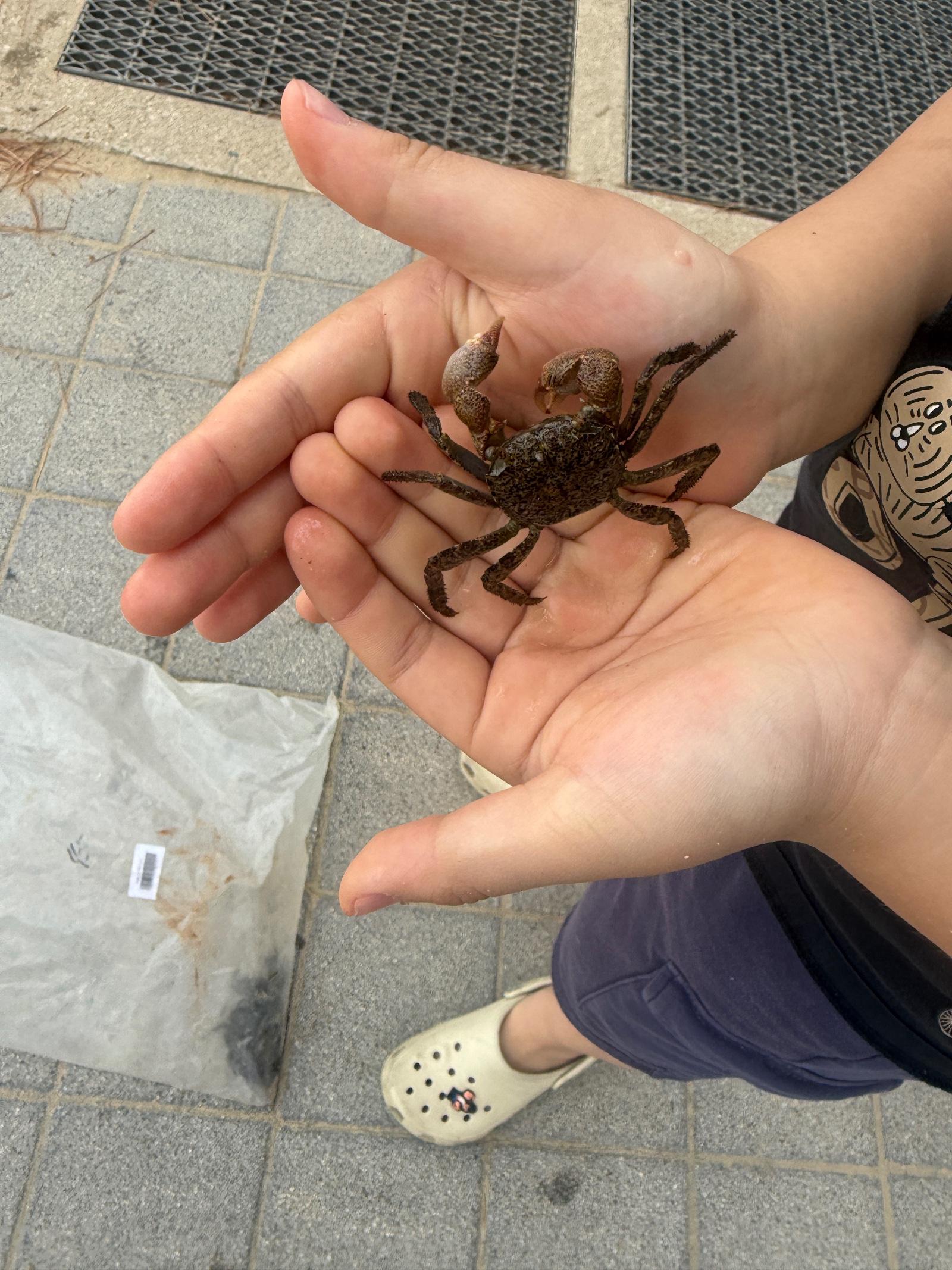 IMG_6702.jpeg