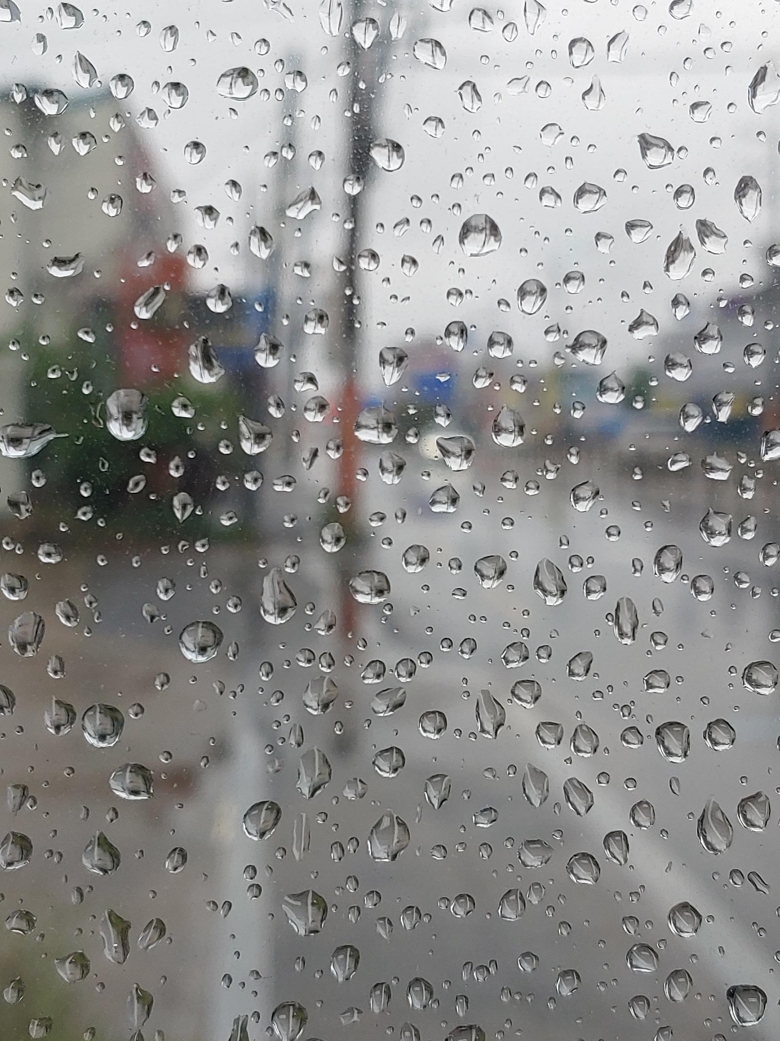 20260503_121030.jpg