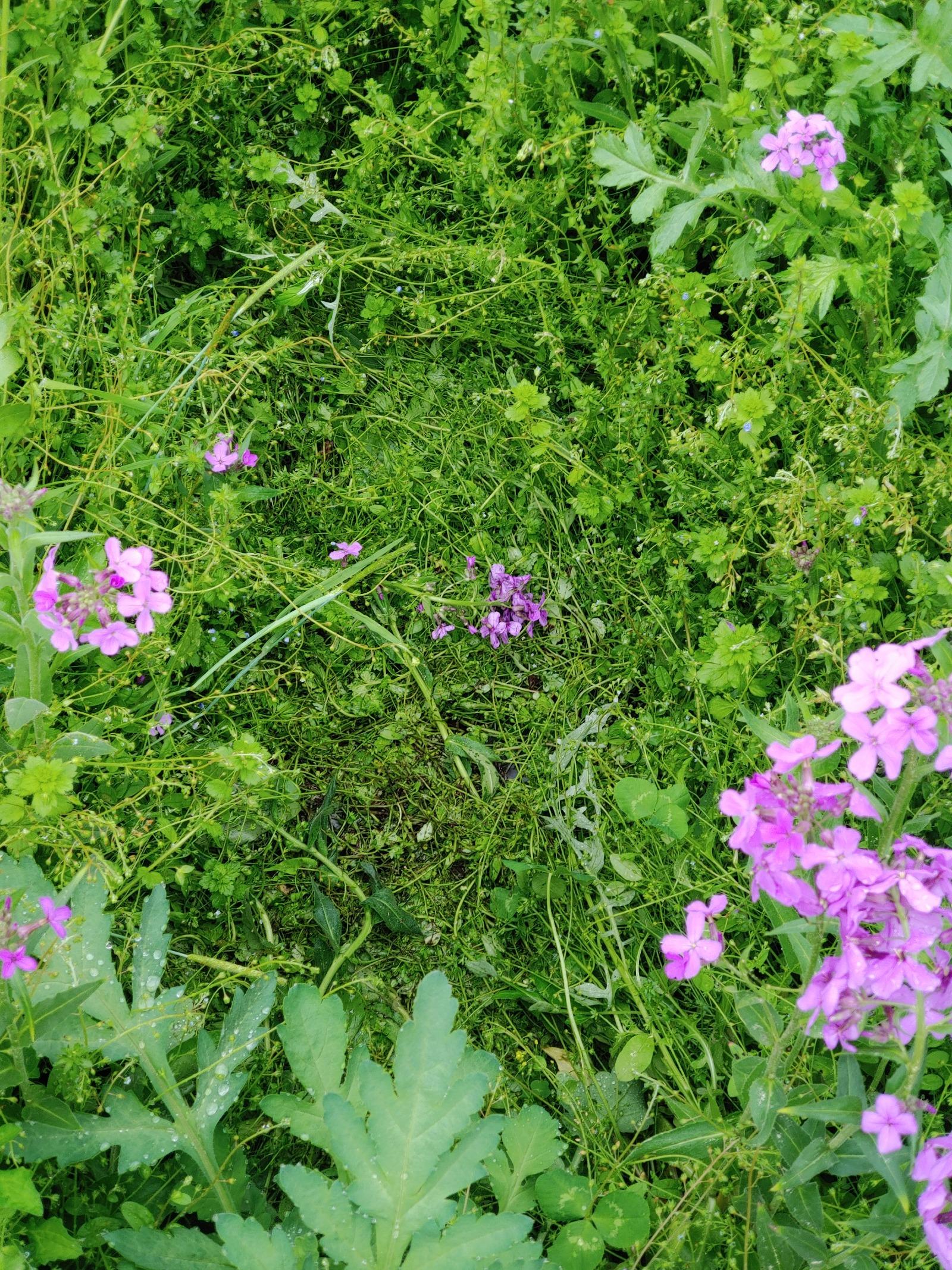 20260503_143320.jpg