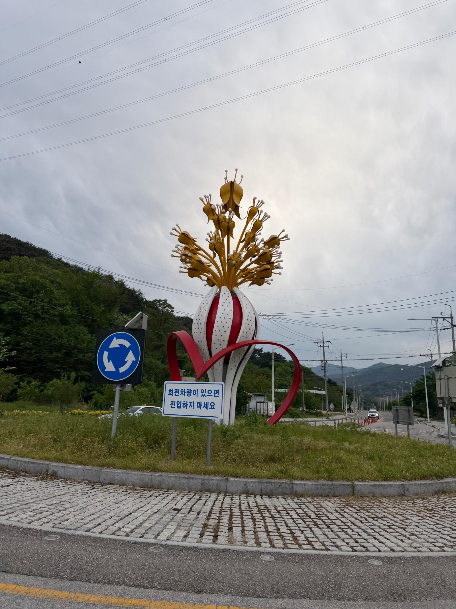 IMG_3691.jpeg