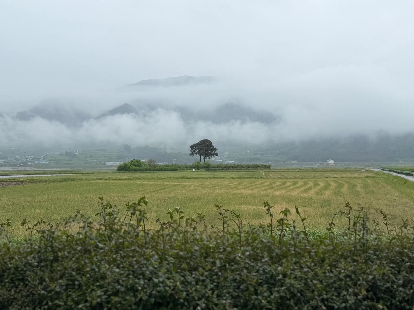 IMG_3756.jpeg