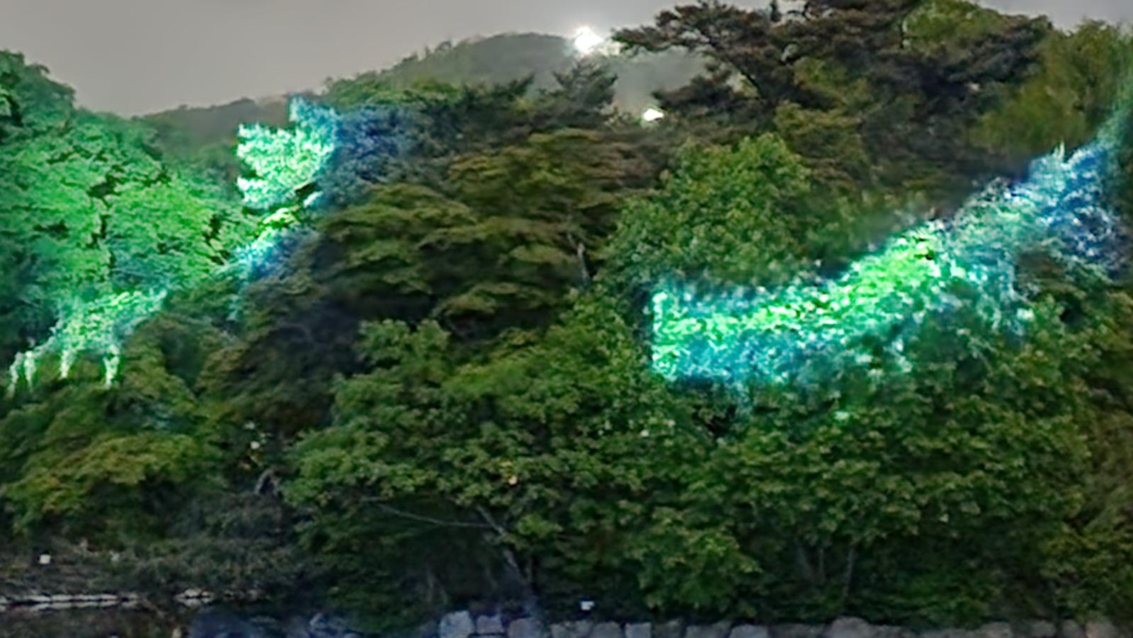1000297476.jpg
