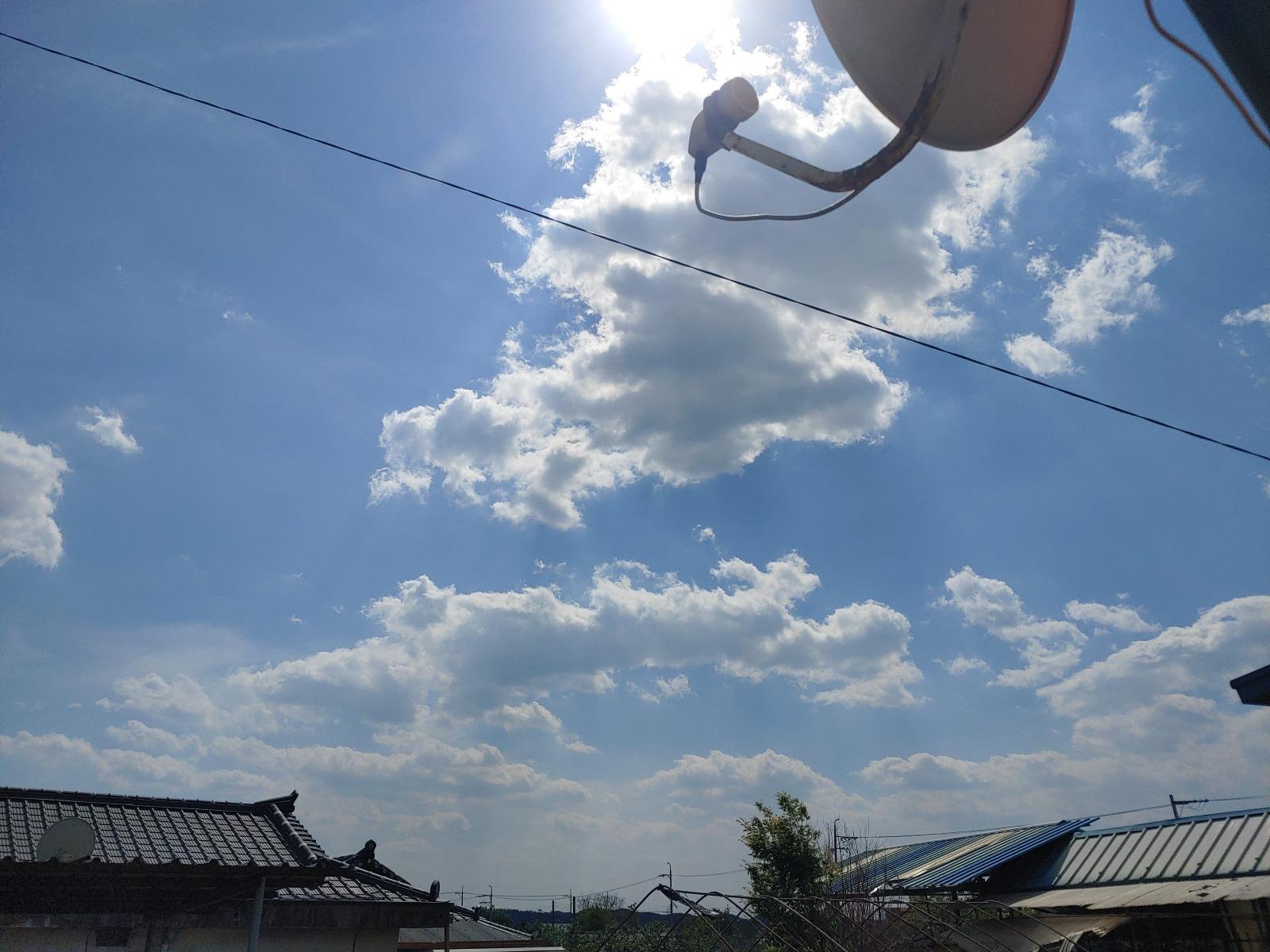 20260504_143435.jpg