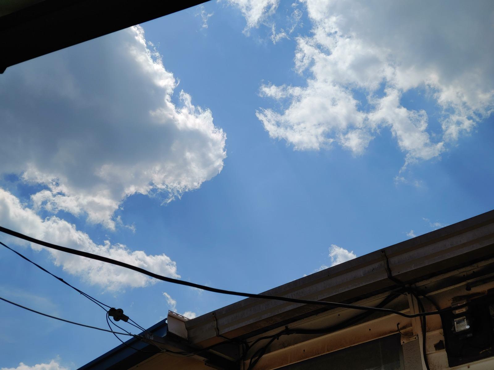 20260504_142936.jpg