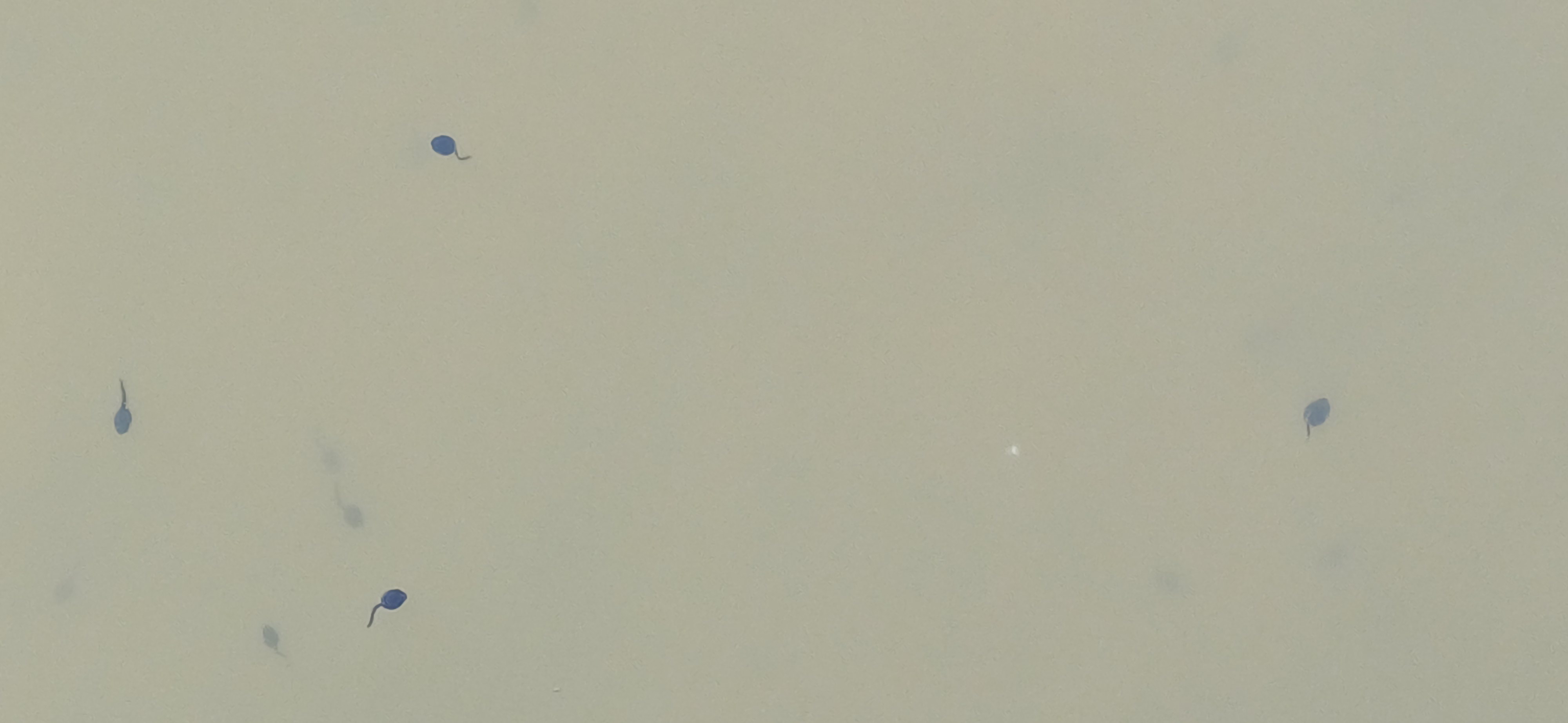 20260504_114158.jpg