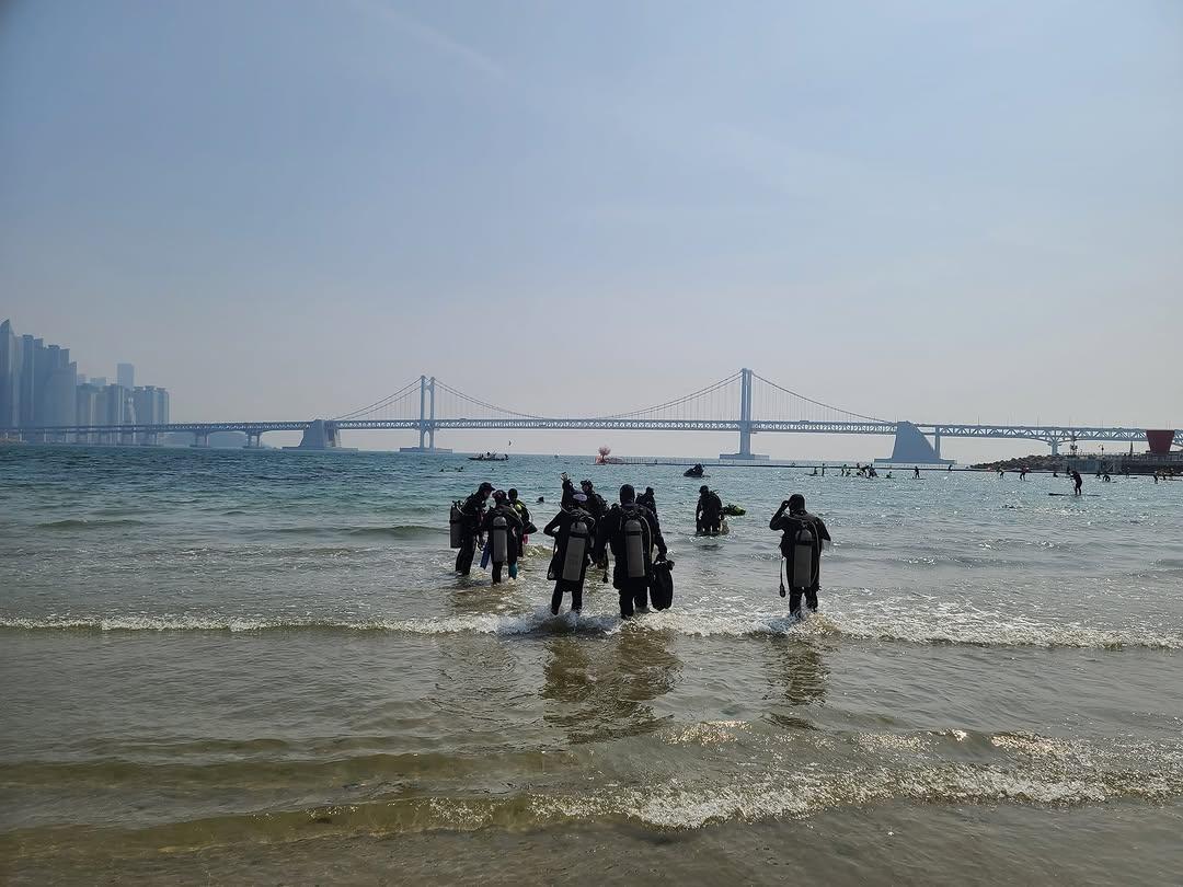 crazy_diving_team_bdfd0a8fd0944cf7beea3809f742a65e.jpg
