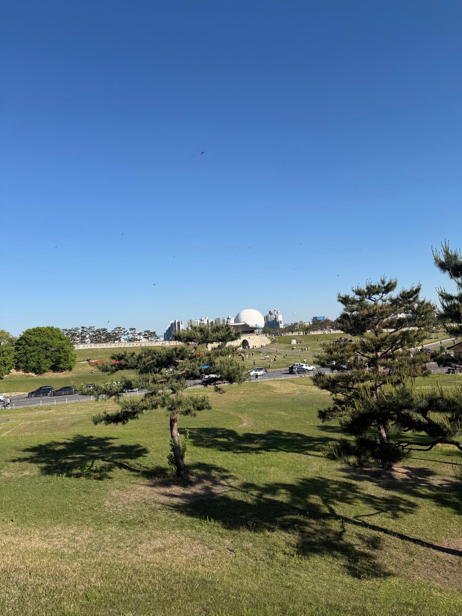 IMG_7692.jpeg