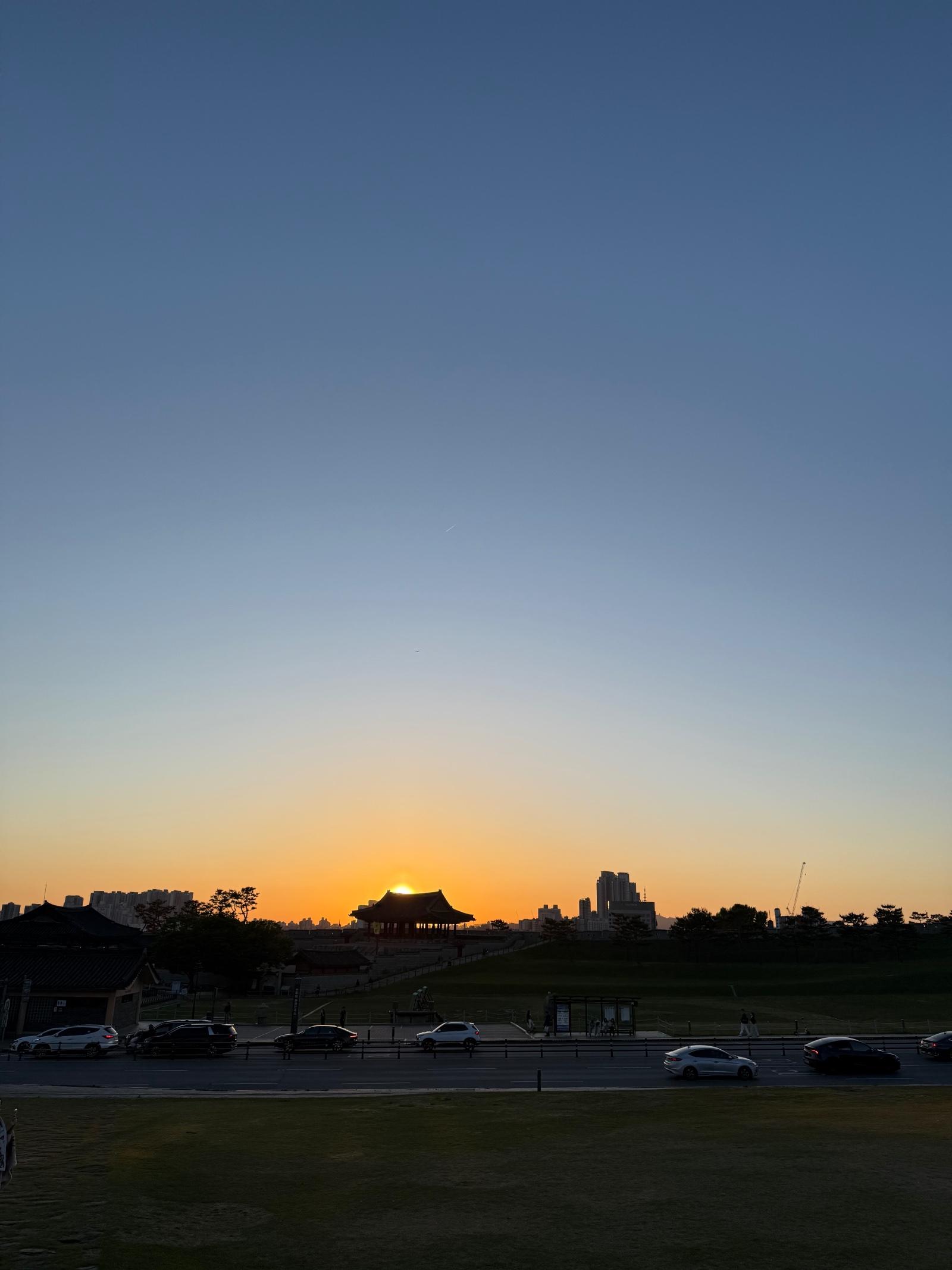 IMG_7706.jpeg