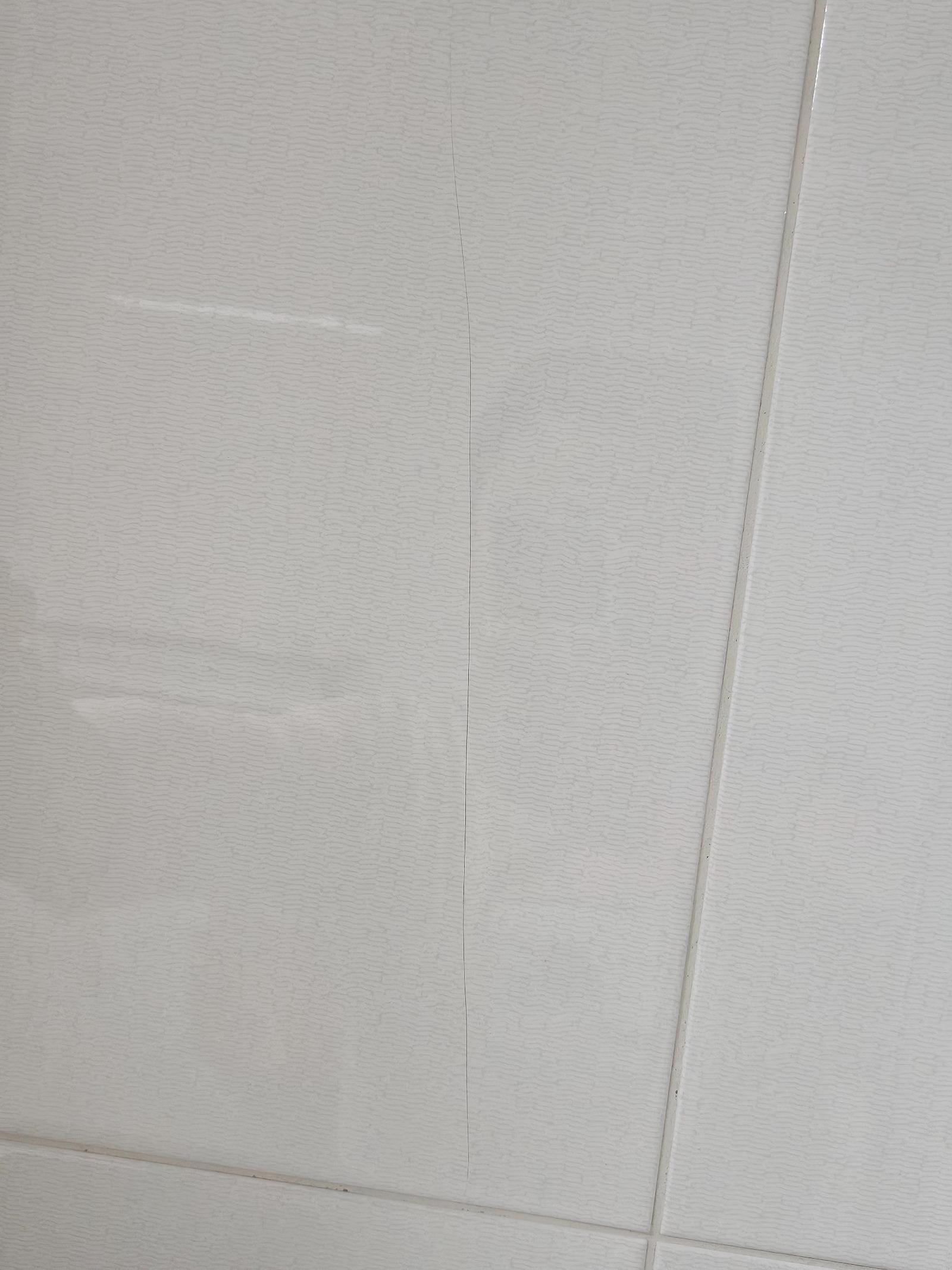 20260421_144018.jpg