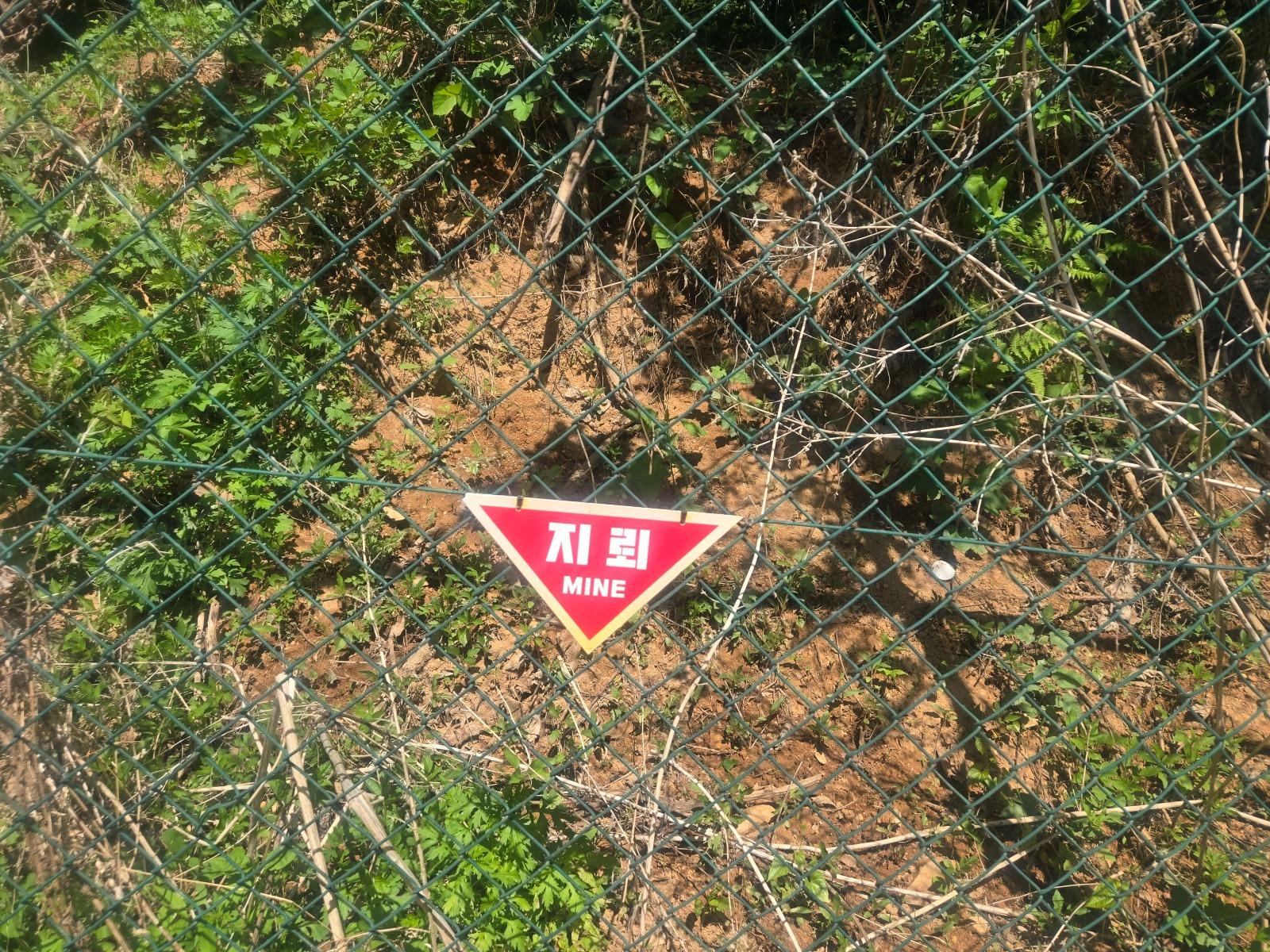 1000067738.jpg