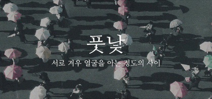 999C6D445C77BB8837.gif
