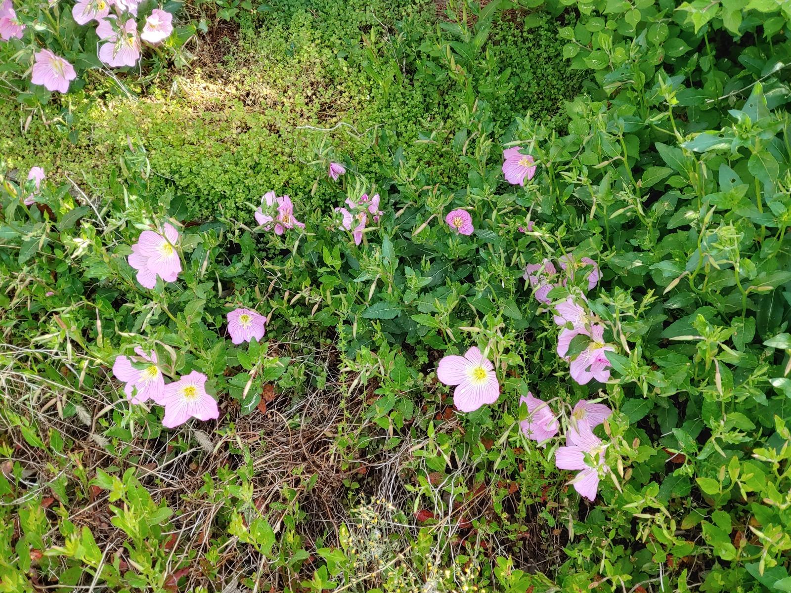20260507_082016_HDR.jpg