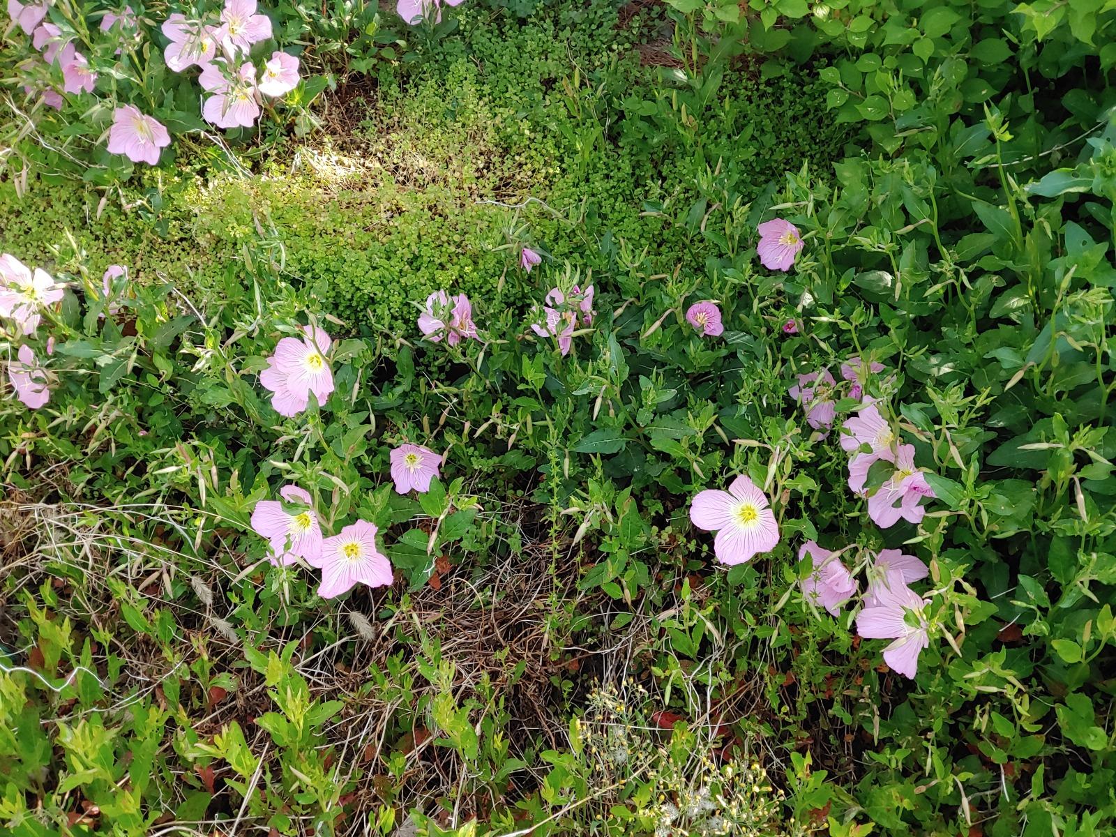 20260507_081911.jpg
