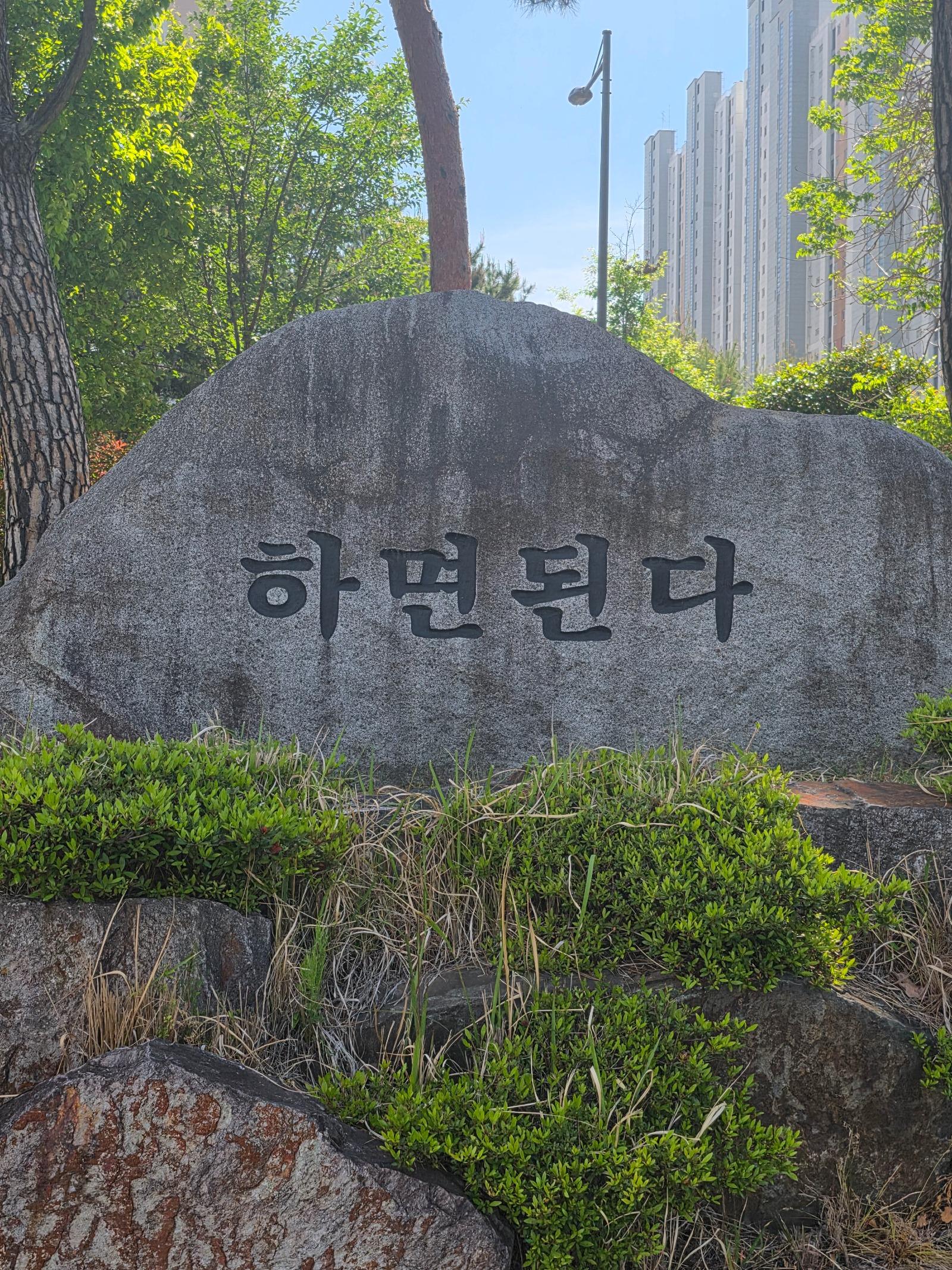 3354.jpg