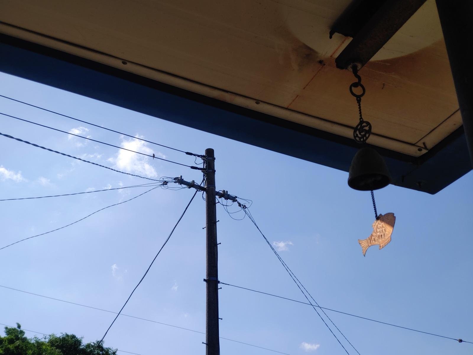 20260508_083910.jpg