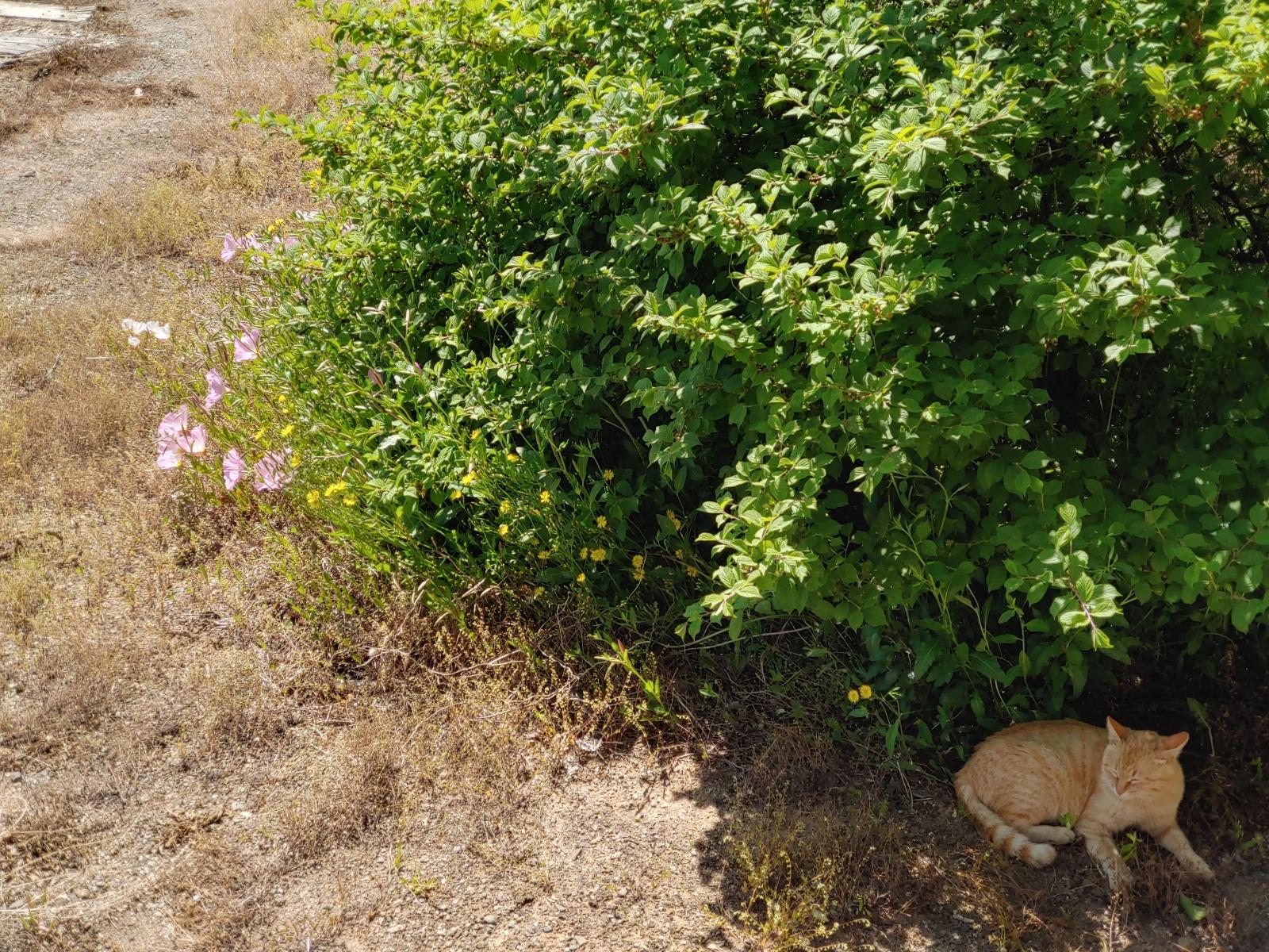20260508_135944_HDR.jpg