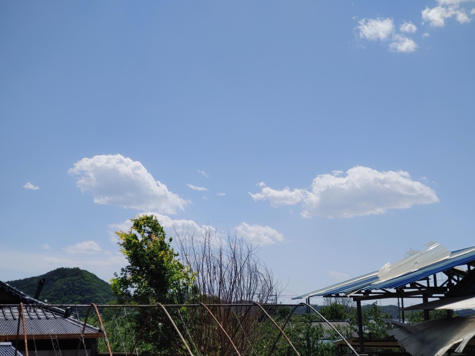 20260508_135845.jpg