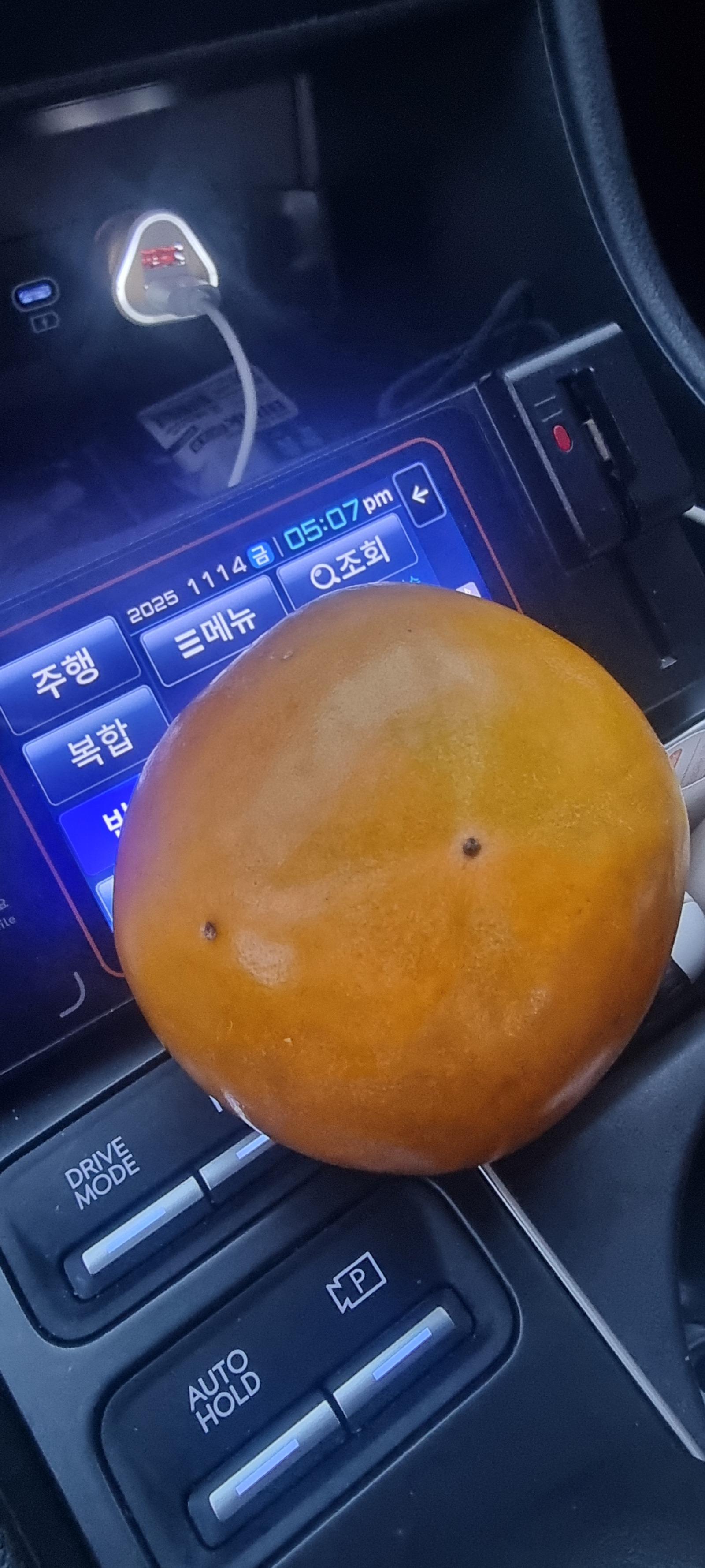 1000012331.jpg