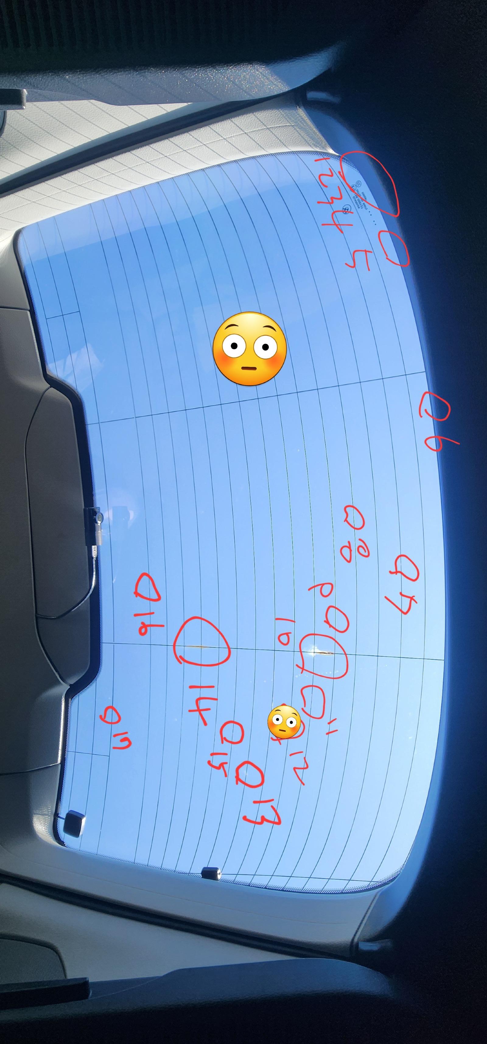 1000004300.jpg