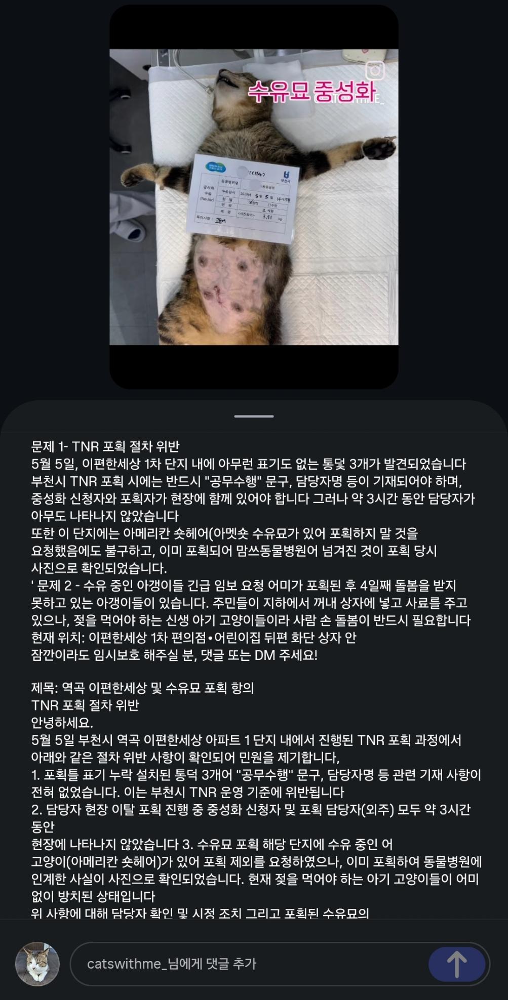 부천시 고양이 불법포획1.jpg