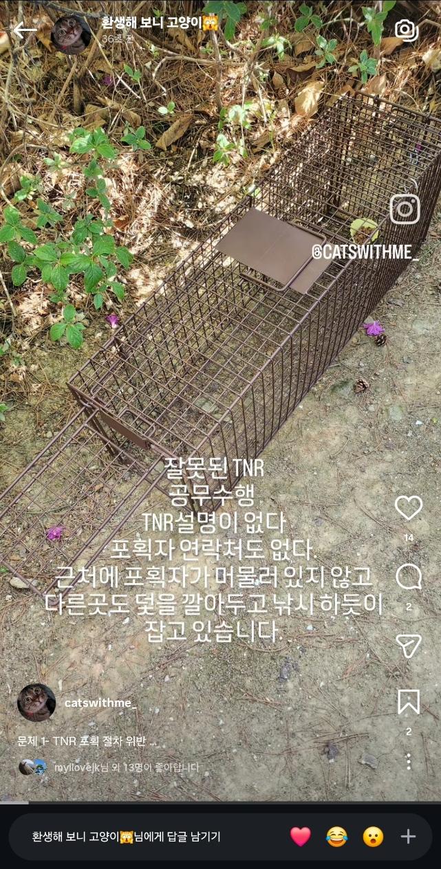 부천시 고양이 불법포획2.jpg