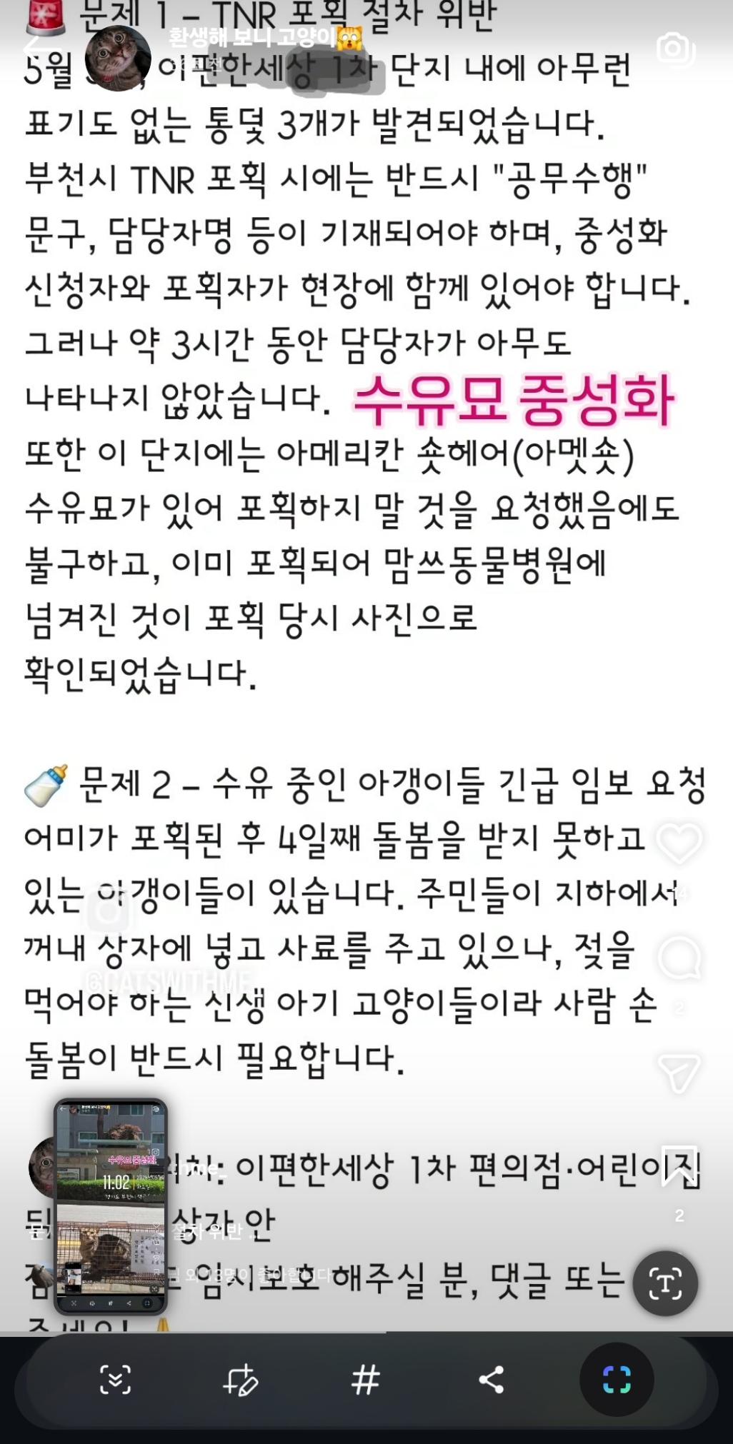 부천시 고양이 불법포획4.jpg